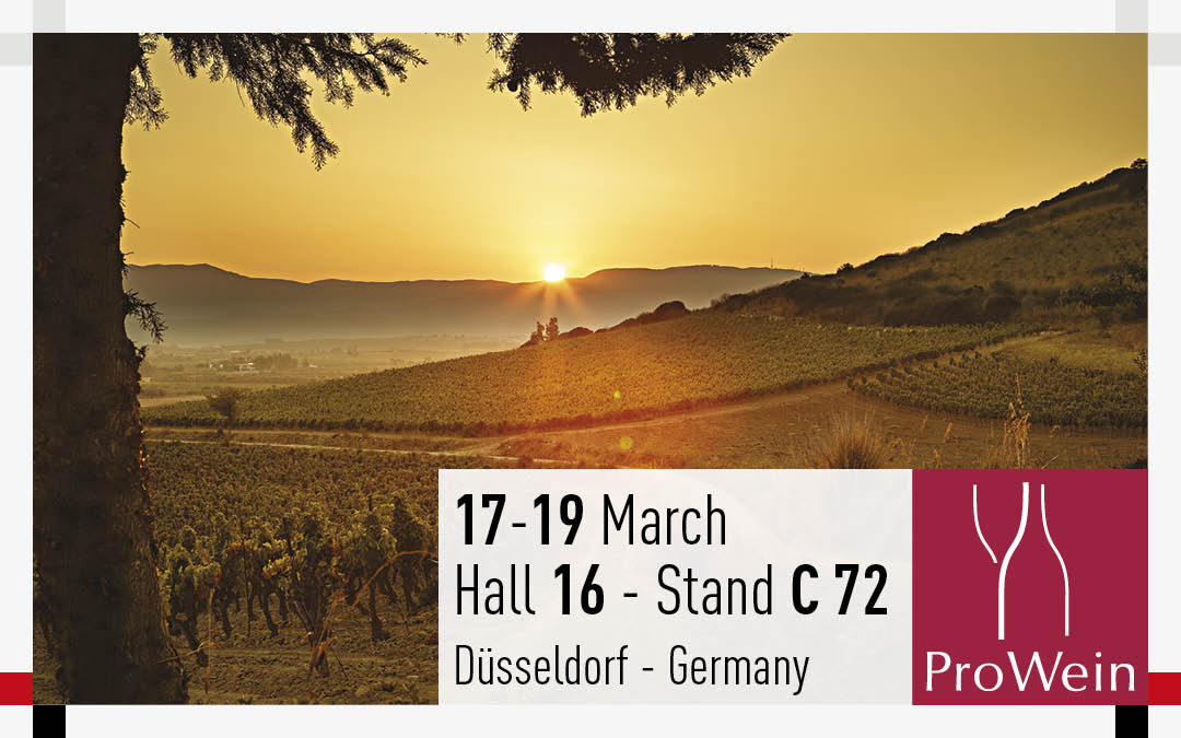 Prowein 2019: dal 17 al 19 Marzo Cantine di Dolianova vola a Düsseldorf