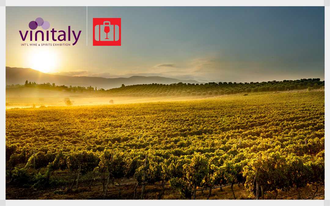 The Winery al Vinitaly: Cantine di Dolianova si racconta