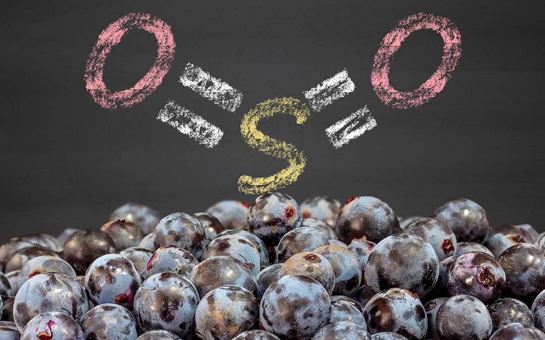 Solfiti nel vino: cosa sono?