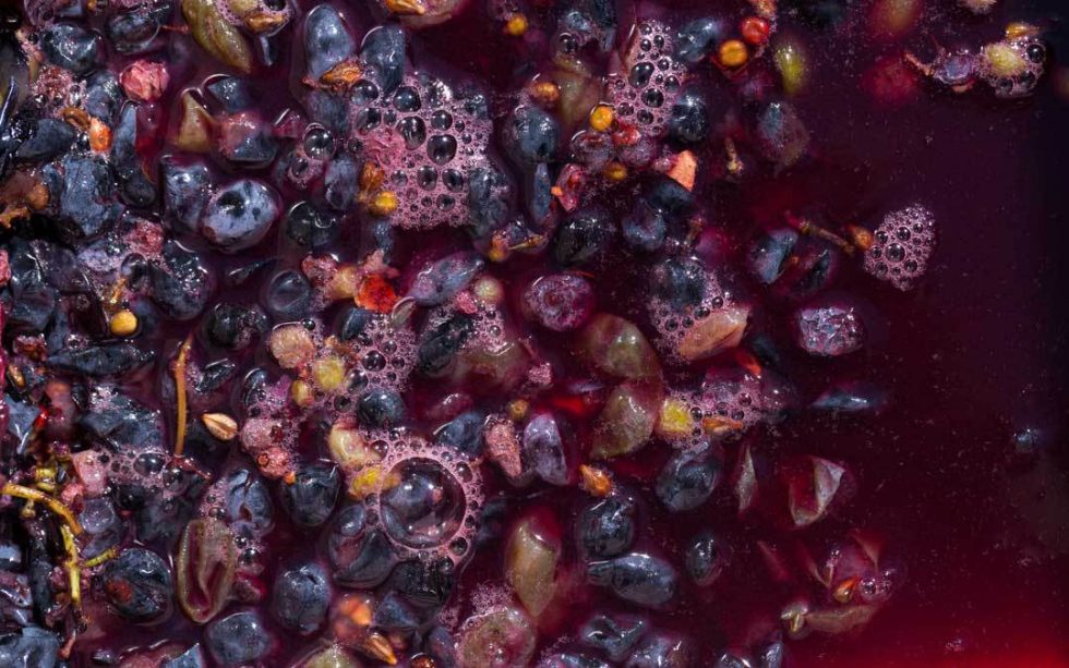 Cos'è la fermentazione alcolica del vino? Cantine di Dolianova