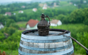 quanto vino può stare in damigiana, consigli