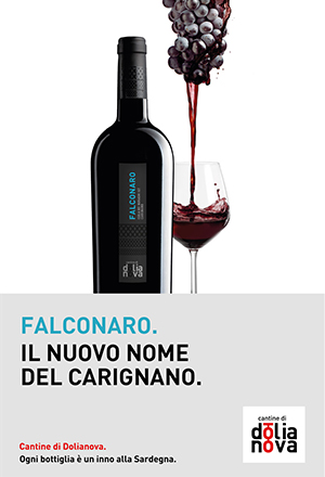 Borsa per il trasporto del vino per 2 bottiglie di vino, borsa