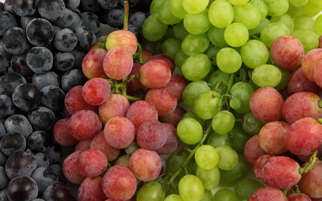quanto costa l'uva al kg, differenze tra uva da vino e da tavola