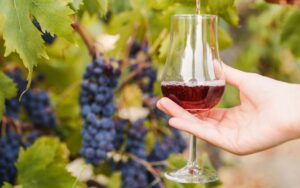 sognare vino rosso: significati ed interpretazioni