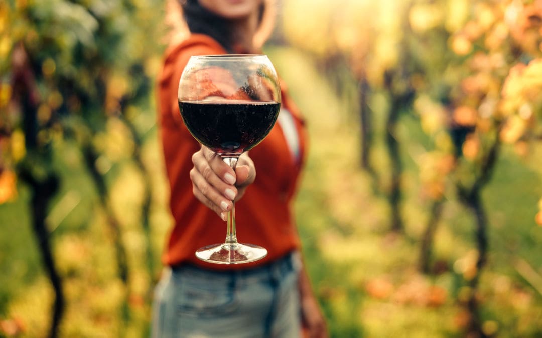 Quali sono nel vino aromi primari, secondari e terziari