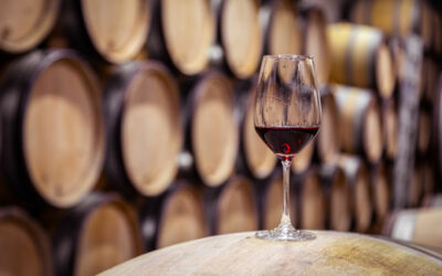 Qual è il significato di vino barricato?