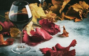 Qual è il significato di vino novello, caratteristiche