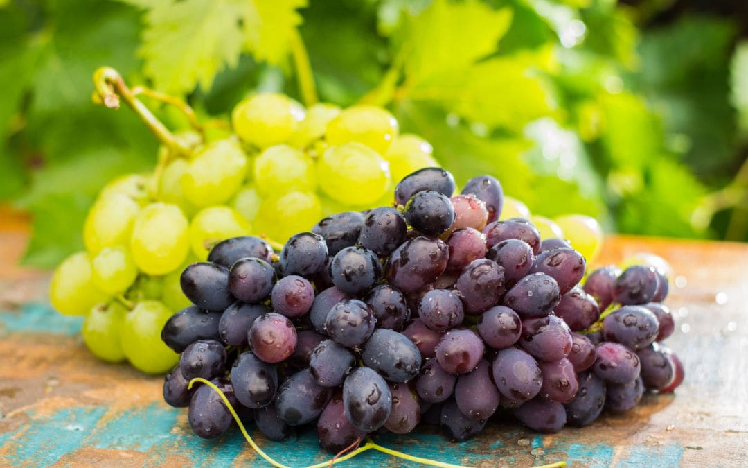 Cosa fare con l'uva avanzata, ricette