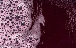 Come capire quando un vino ha fatto fermentazione malolattica