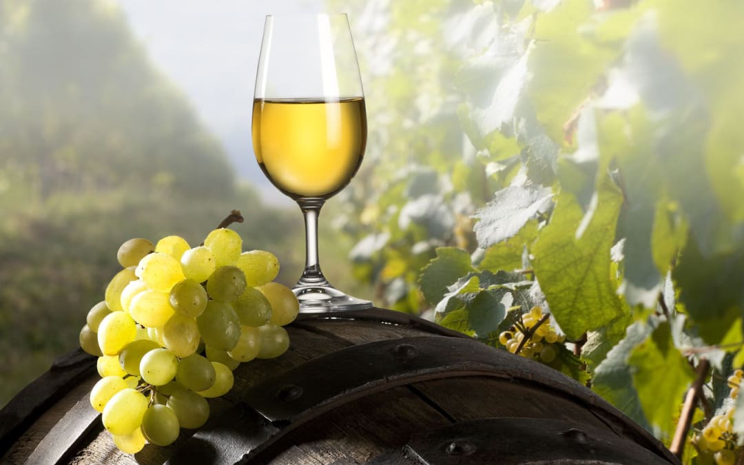 Qual è il significato di vino biologico?