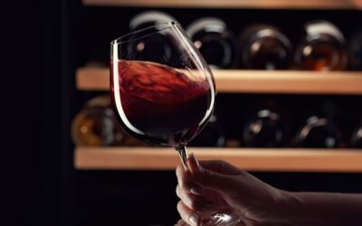 Qual è il significato di vino morbido?