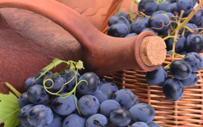 Qual è il vino più vecchio del mondo?