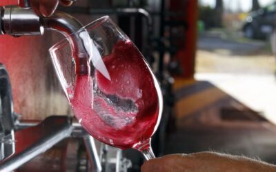 Come scegliere uno spillatore per vino?