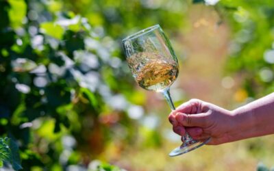 Qual è il significato di vino in purezza?
