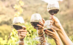 Quali sono le feste del vino in Italia