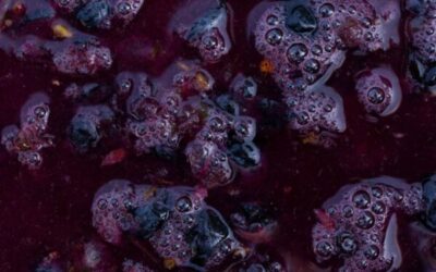 Come fare il vino cotto
