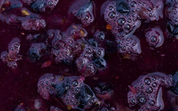 come fare il vino cotto, ricetta e come utilizzarlo