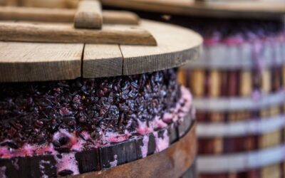 Cosa s’intende con microssigenazione del vino?