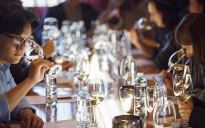 Cosa fa un wine educator?