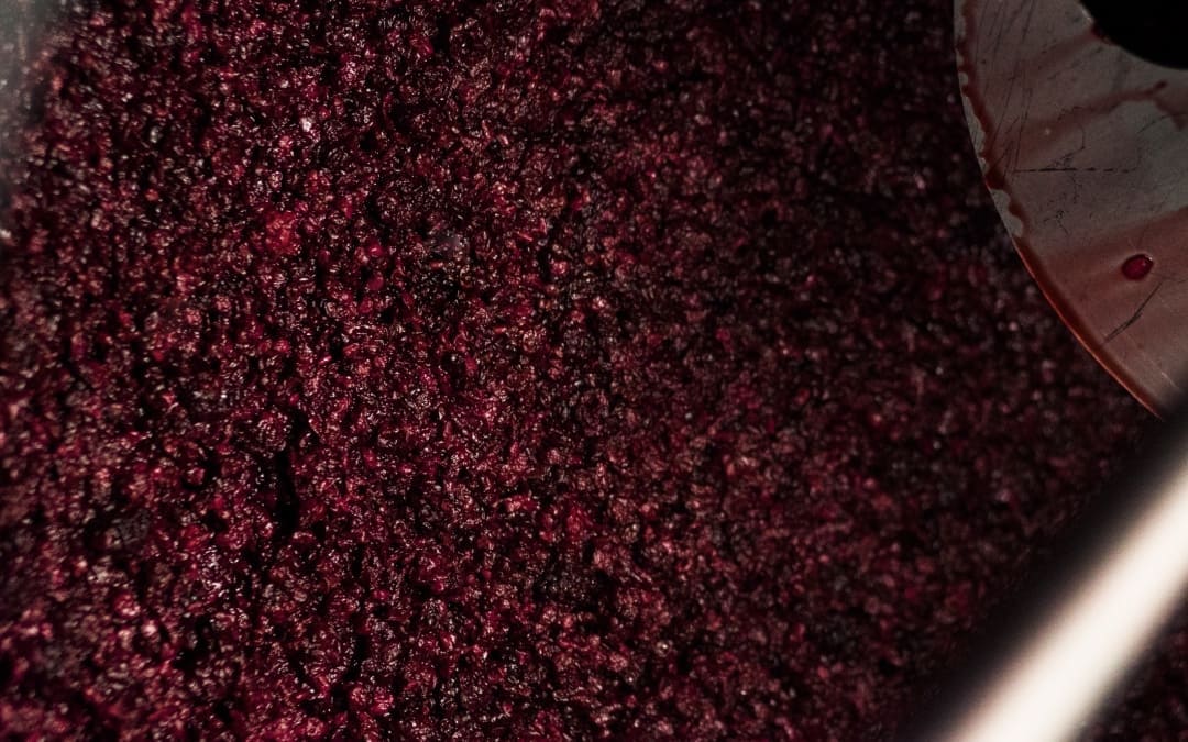 Cos'è e a cosa serve il rimontaggio del vino, fermentazione mosto
