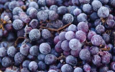 Cosa sono gli Icewine?