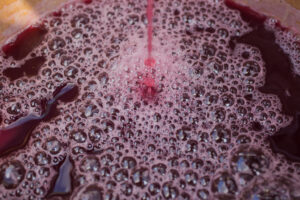 Quali sono i lieviti indigeni?