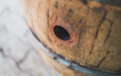 Qual è la differenza tra barrique e botte?