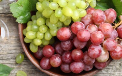 Qual è la migliore uva da tavola?