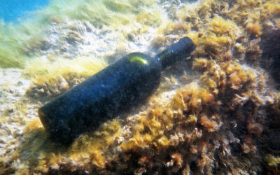 Come funziona l’affinamento subacqueo del vino?