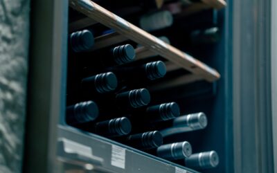 Come scegliere un frigo per il vino