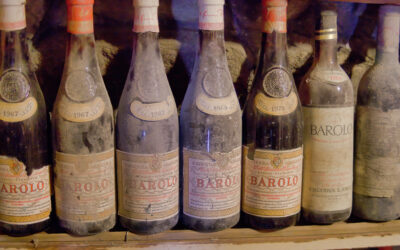 Quali sono i vini da investimento?