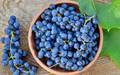 Perché fa bene mangiare l’uva la sera?