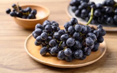 Qual è l’origine dell’uva?