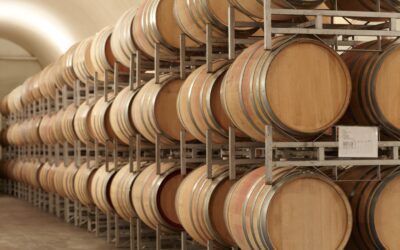 Quali sono i maggiori Paesi produttori di vino?