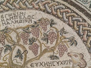 Come si dice uva in latino?