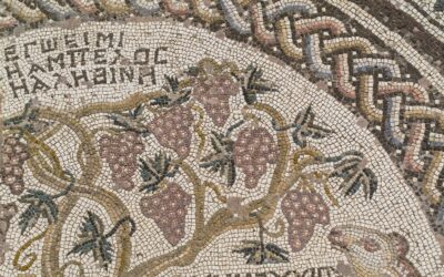 Come si dice “uva” in latino?