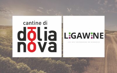 Cantine di Dolianova nel progetto europeo LIGAWINE per l’innovazione sostenibile del settore vitivinicolo