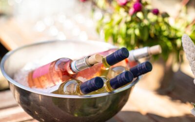 Come raffreddare velocemente una bottiglia di vino?