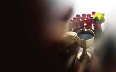 Cosa rappresenta il vino nella Bibbia?