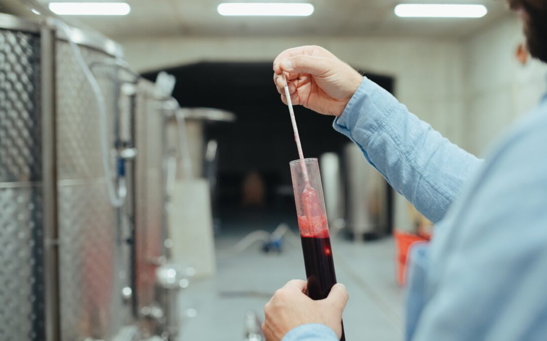 Come bloccare la fermentazione del vino?