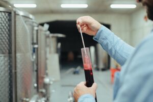 Come bloccare la fermentazione del vino?