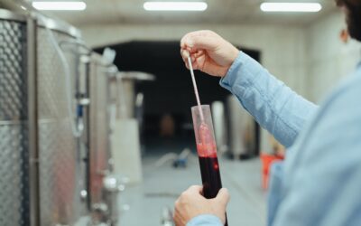 Come bloccare la fermentazione del vino?