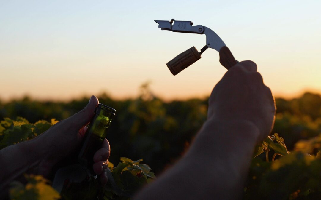 Cosa contiene il vino?