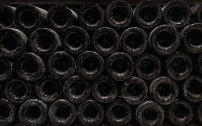 È vero che il vino più invecchia più è buono?